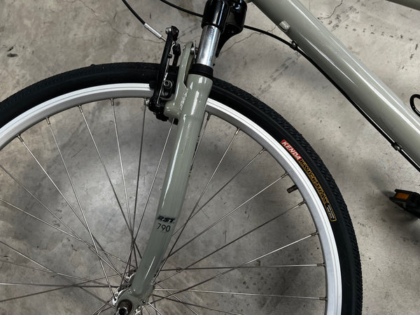Avanti Discovery 2 Women's Bike