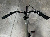 Avanti Discovery 2 Women's Bike