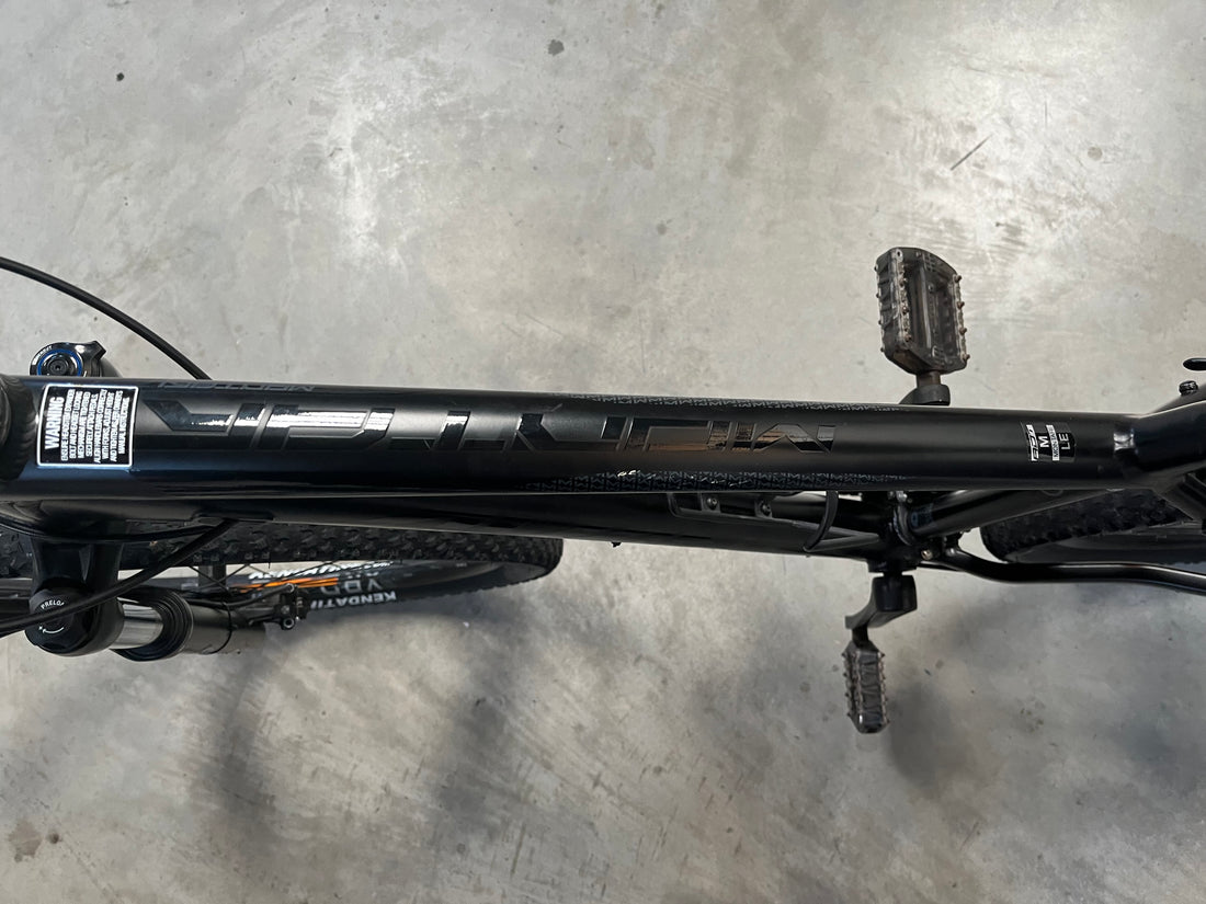 Avanti Montari LE Bike
