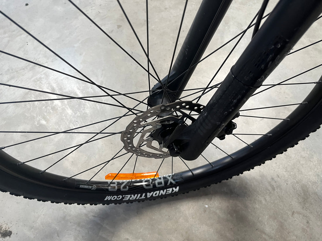 Avanti Montari LE Bike