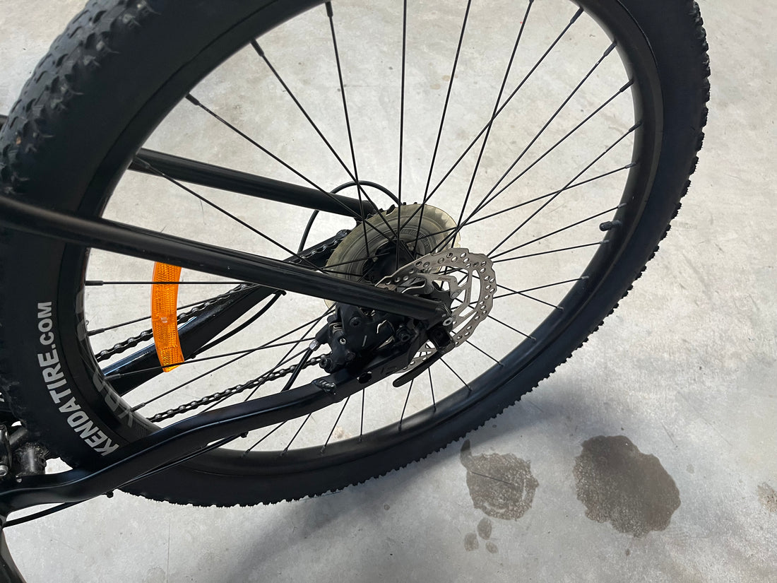 Avanti Montari LE Bike