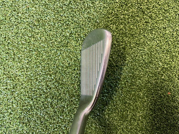 2017 TaylorMade P790 5-Pw Iron Set