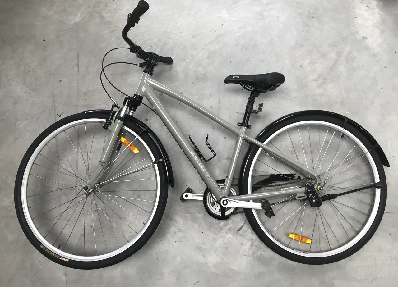 Avanti Discovery 2 Women's Bike
